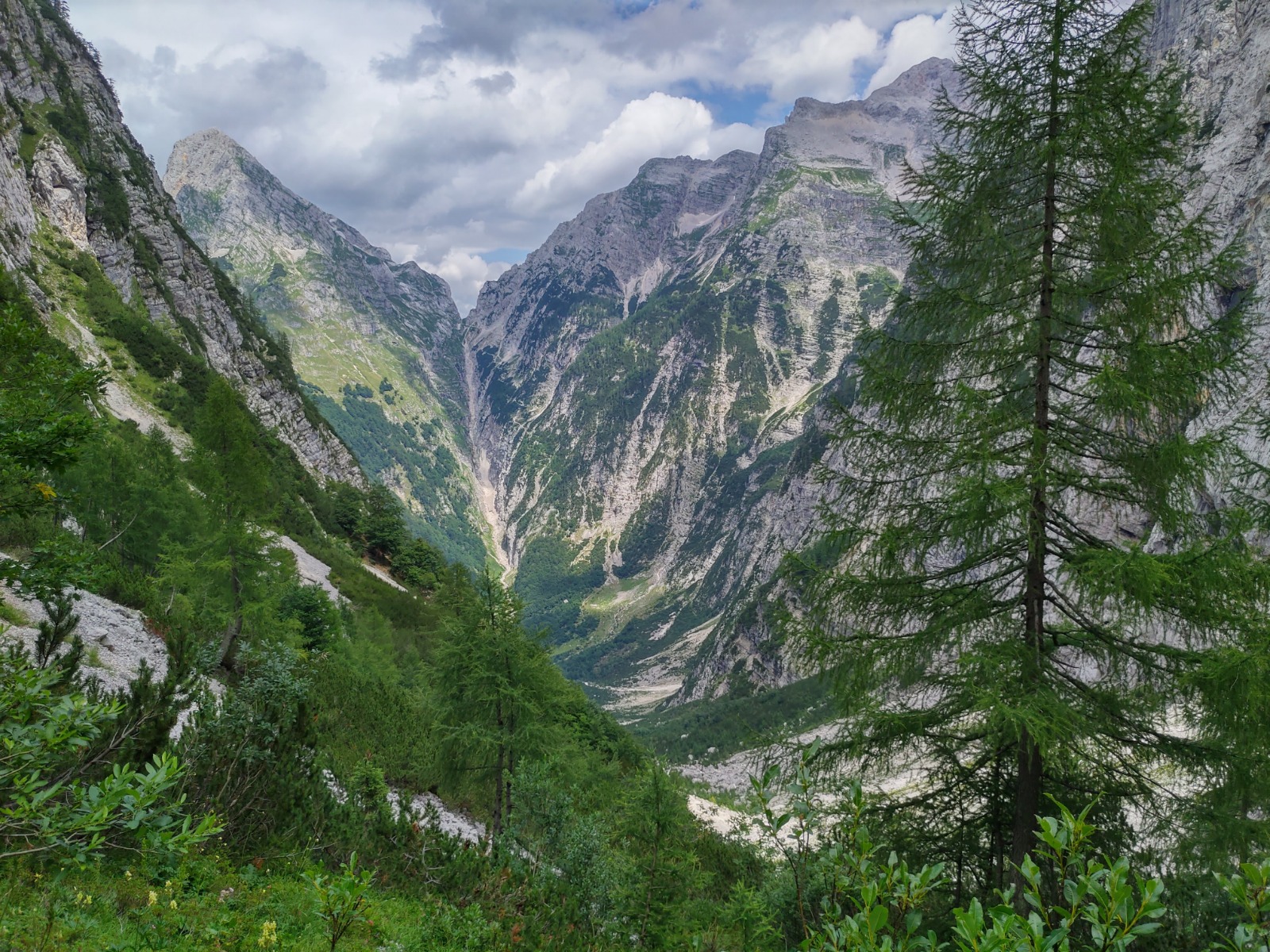 Hiking in Triglav National Park Slovenia Flower Travels